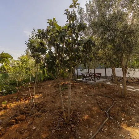 Appartement Serene House With Sea View And Garden In Muratpasa Antalya